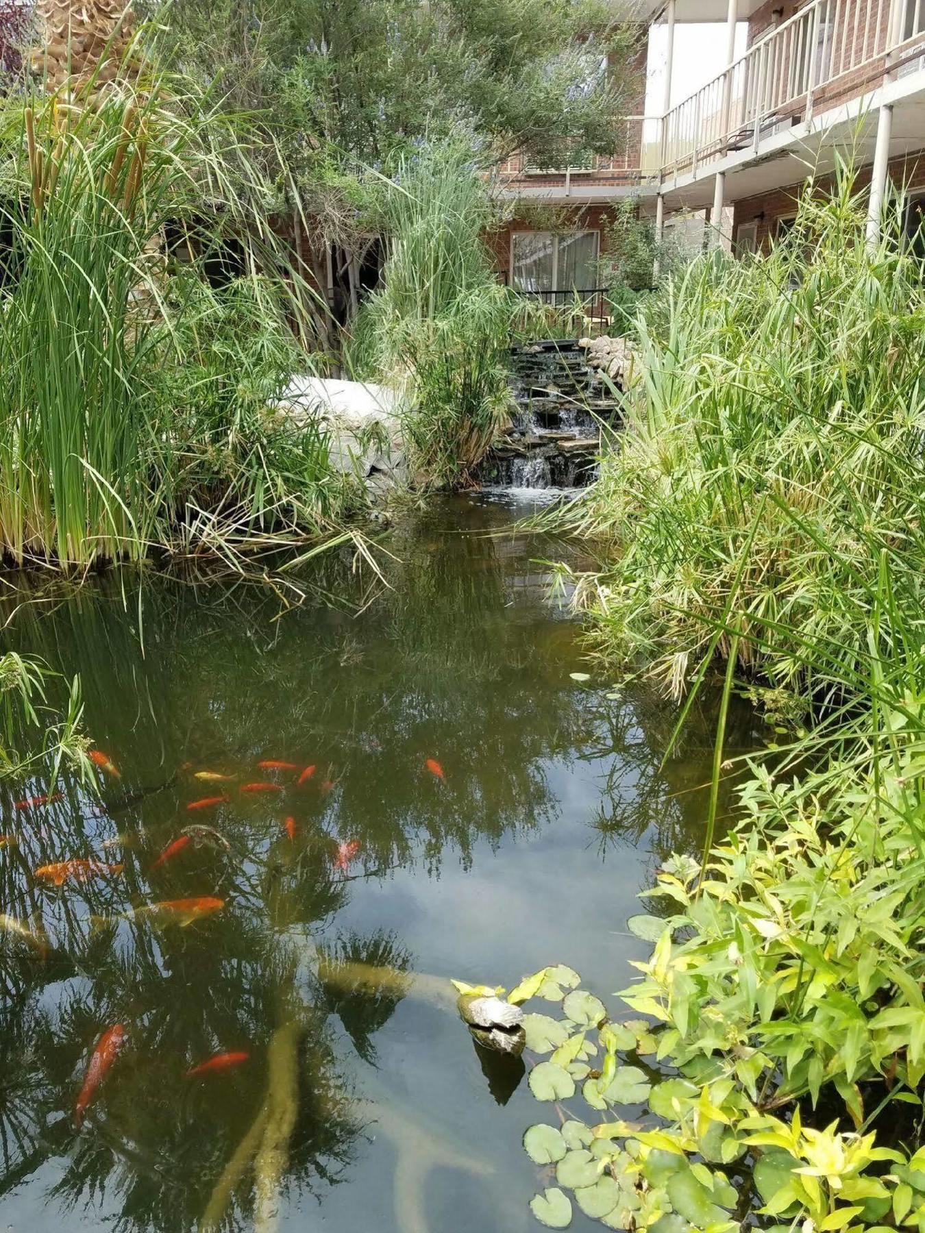 Big Chile Inn & Suites Las Cruces Zewnętrze zdjęcie